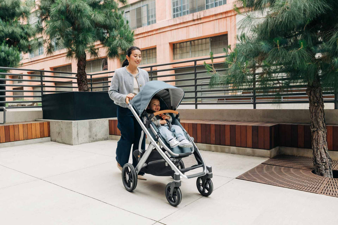 New UPPAbaby Vista V3 Stroller