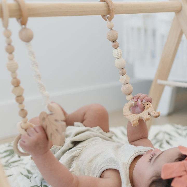 Wood Baby Gym + Toys