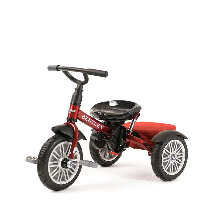 6-in-1 Stroller Trike