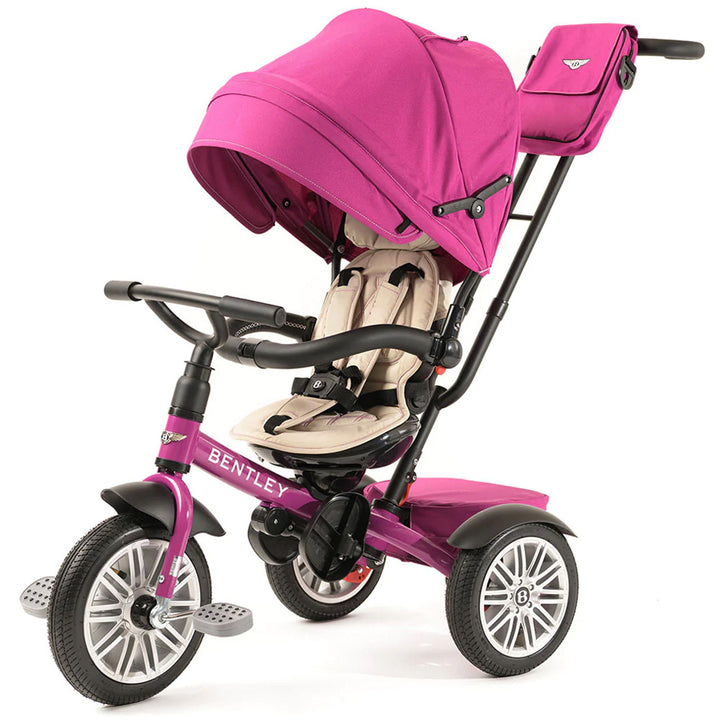 6-in-1 Stroller Trike