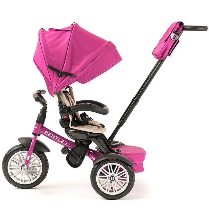 6-in-1 Stroller Trike