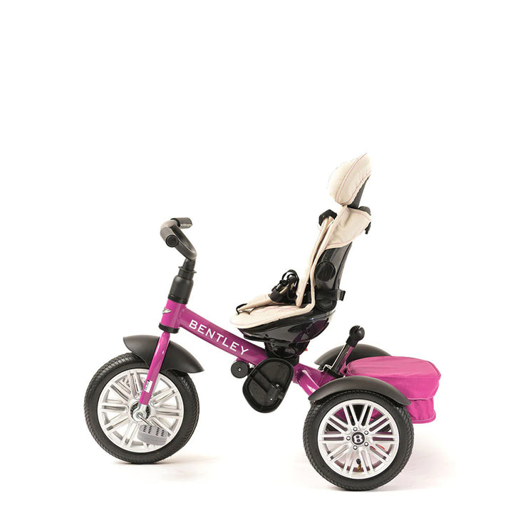 6-in-1 Stroller Trike