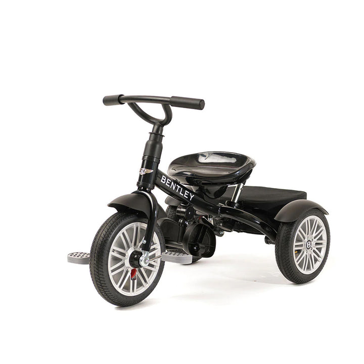 6-in-1 Stroller Trike