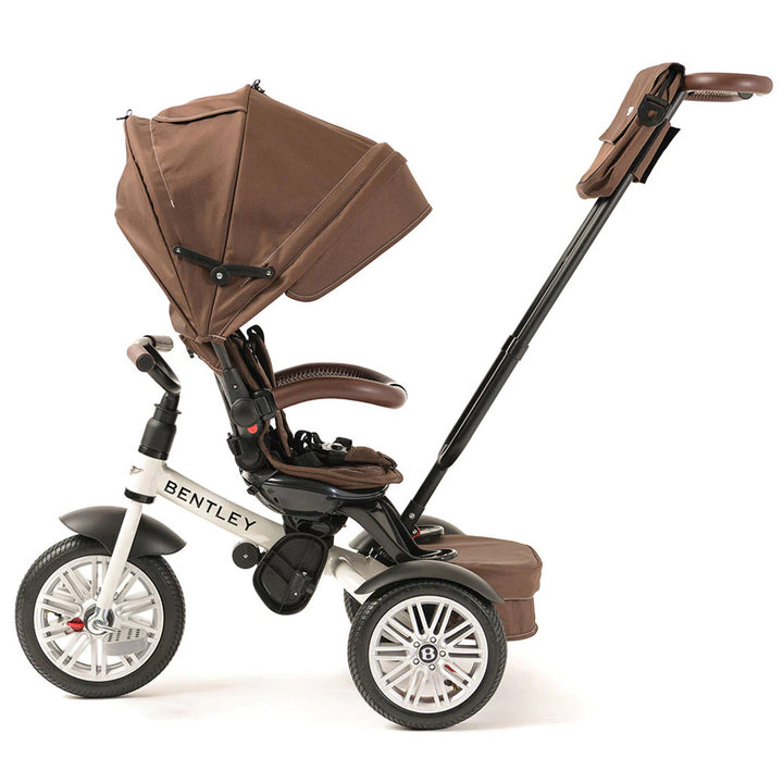 6-in-1 Stroller Trike