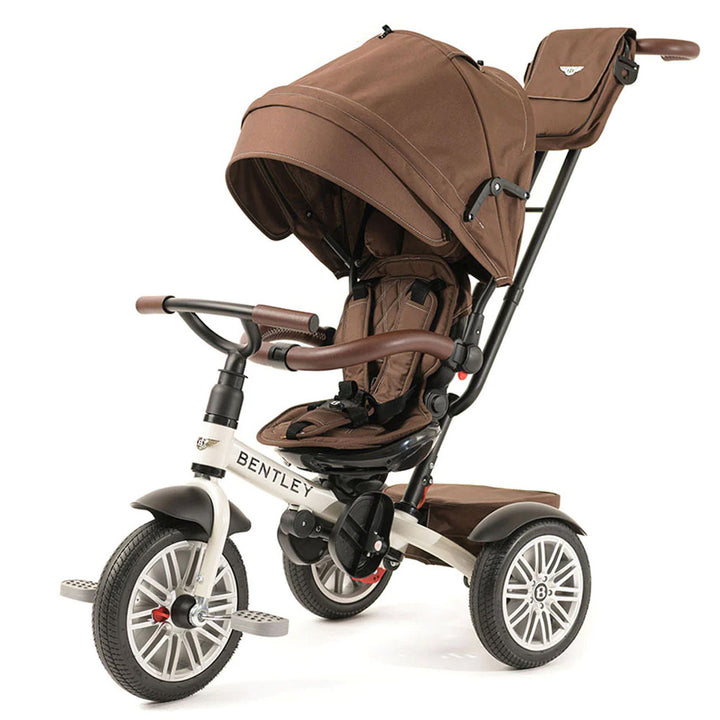 6-in-1 Stroller Trike