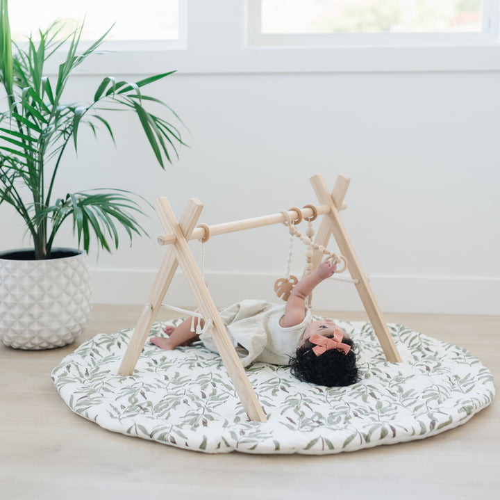 Wood Baby Gym + Toys