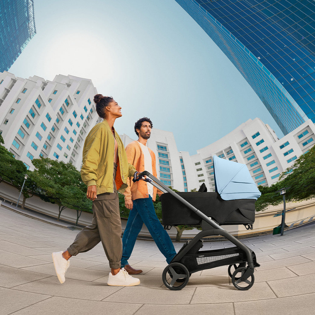Bugaboo ant bassinet sale