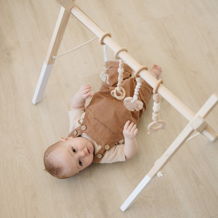 Wood Baby Gym + Toys