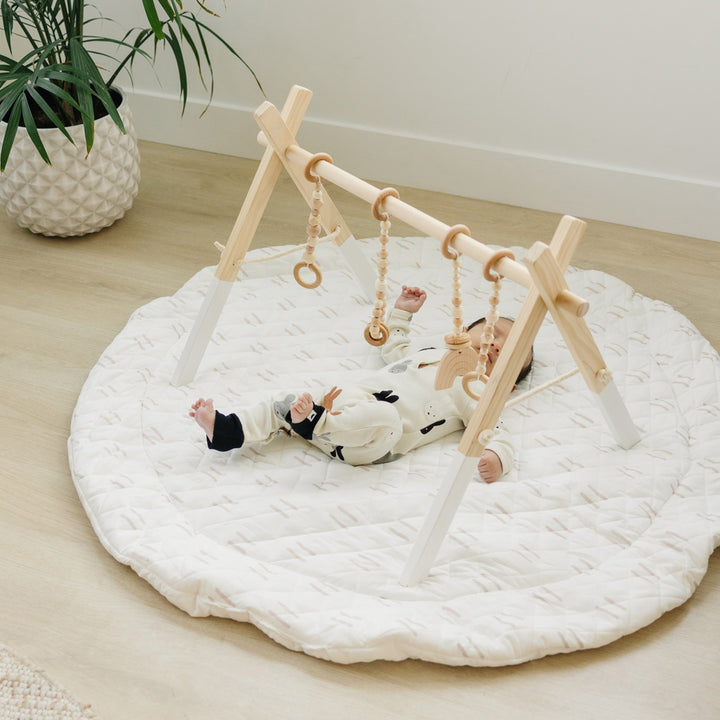 Wood Baby Gym + Toys