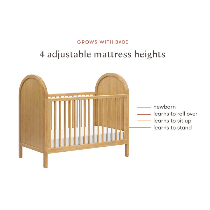 Bondi Cane 3-in-1 Convertible Crib