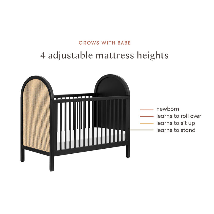 Bondi Cane 3-in-1 Convertible Crib