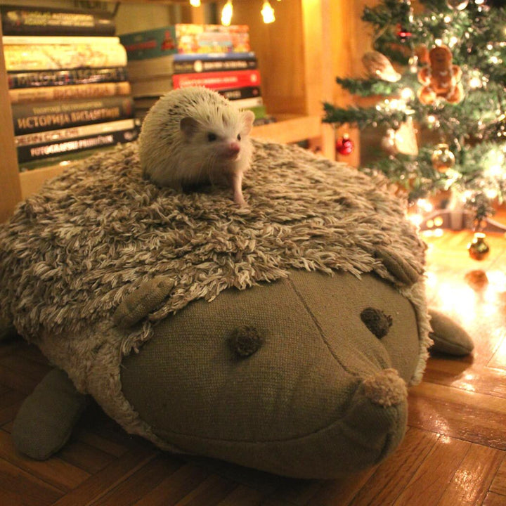 Hedgehog Floor Cushion