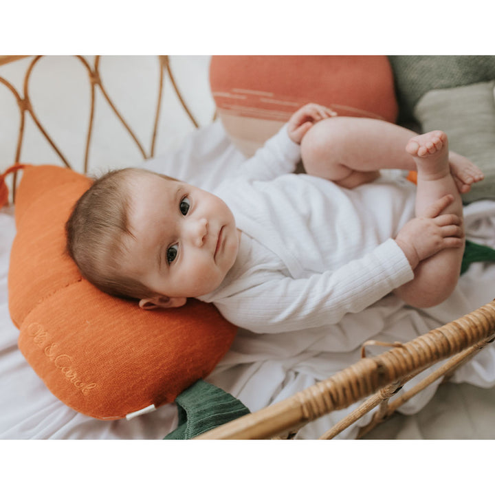 Cathy The Carrot Knitted Cushion