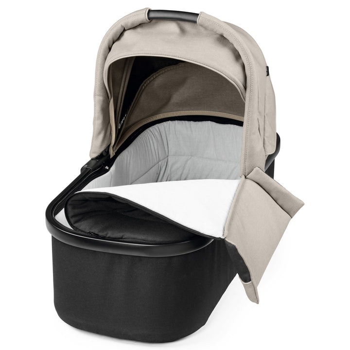 Bassinet With Home Stand