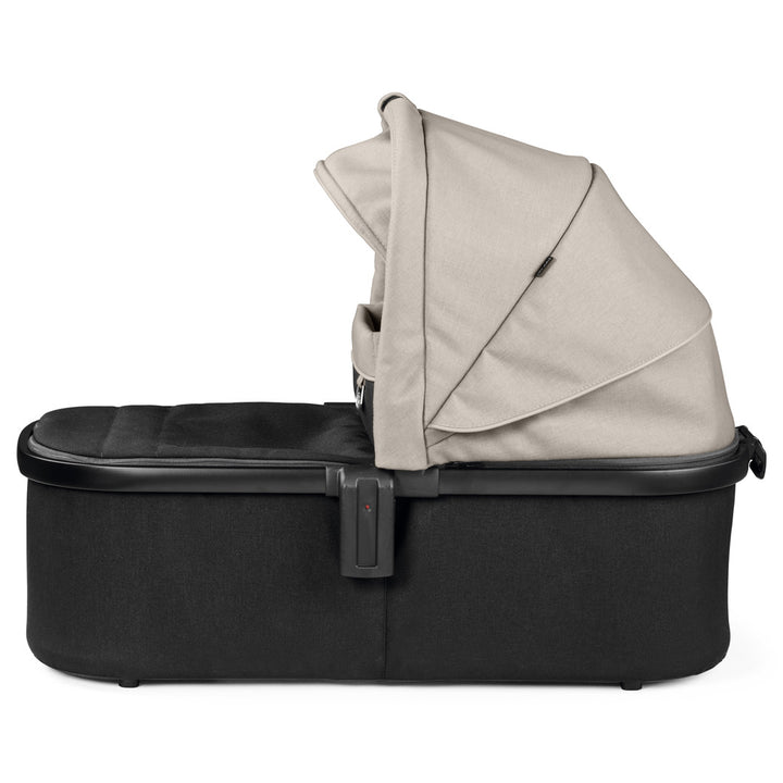 Bassinet With Home Stand