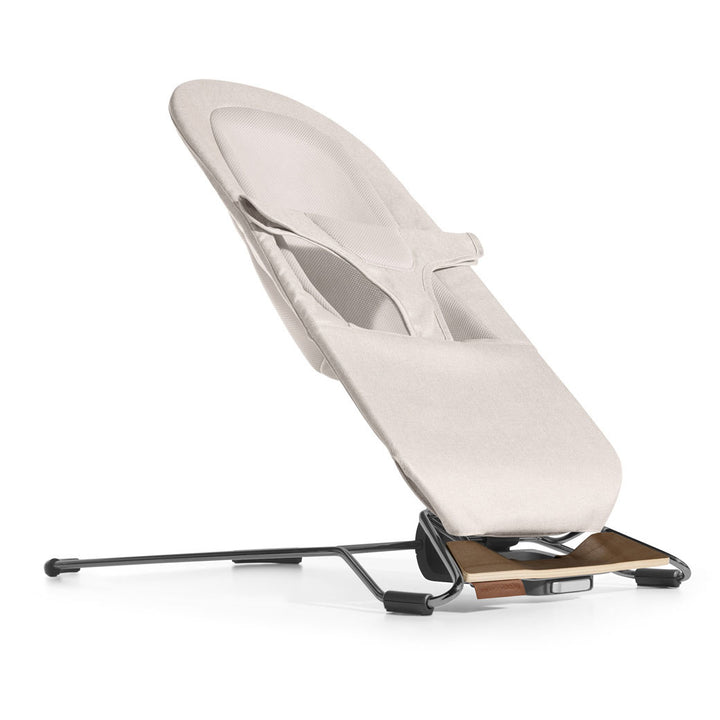 Mira 2-in-1 Bouncer & Seat