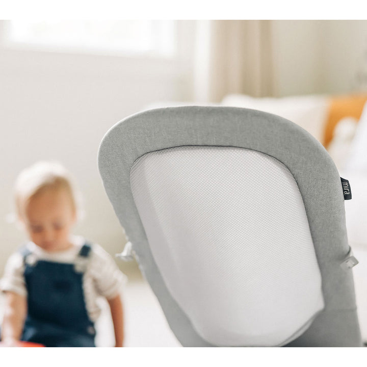 Mira 2-in-1 Bouncer & Seat