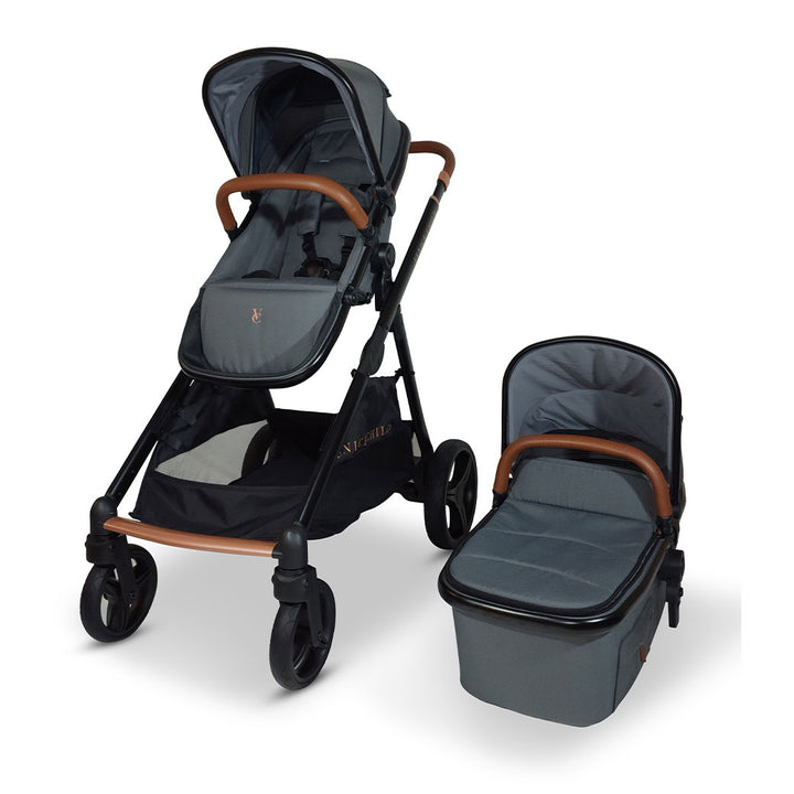 Ventura Single to Double Sit-and-Stand Stroller & Bassinet