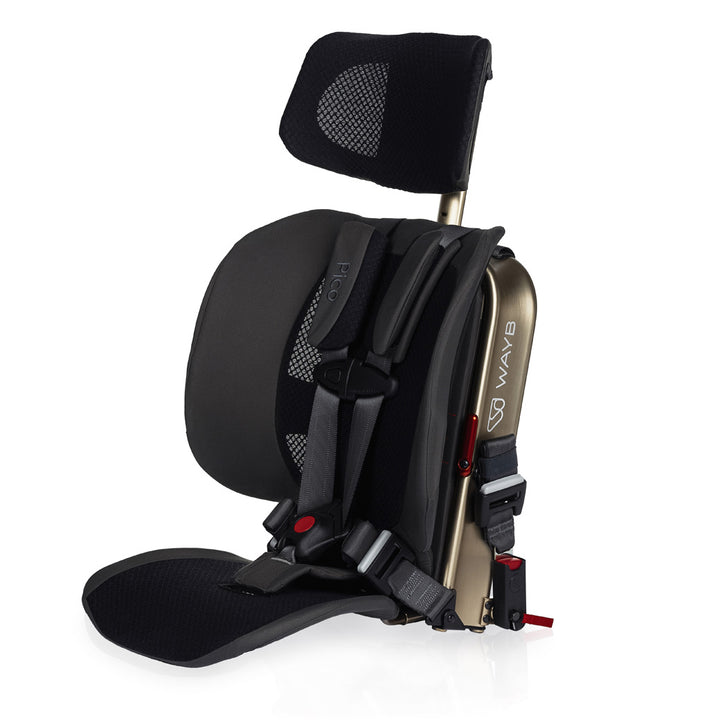 Pico Car Seat