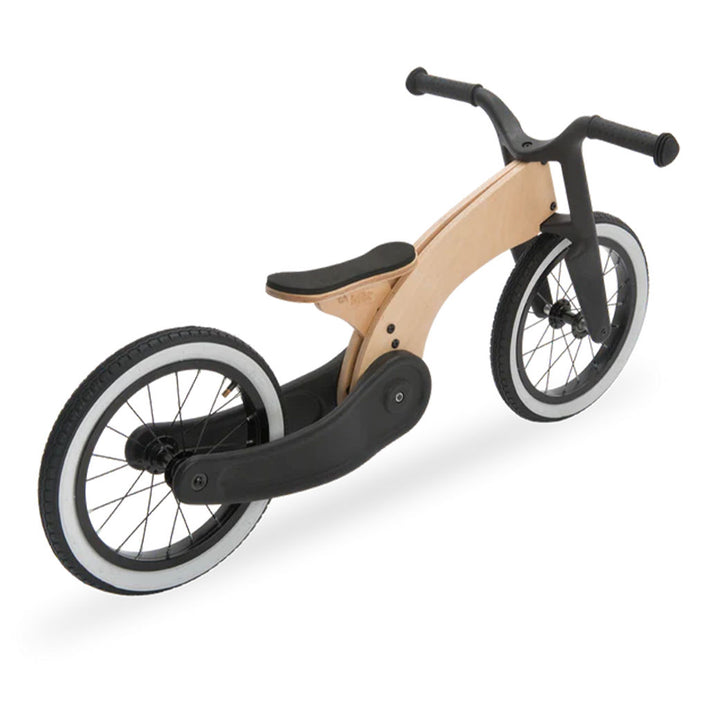 2-in-1 Cruise Bike