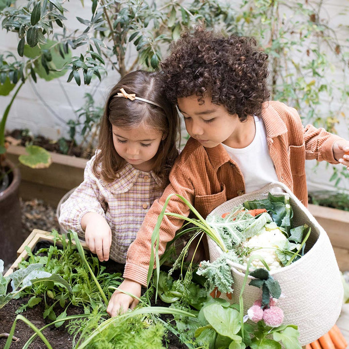 Veggies Basket