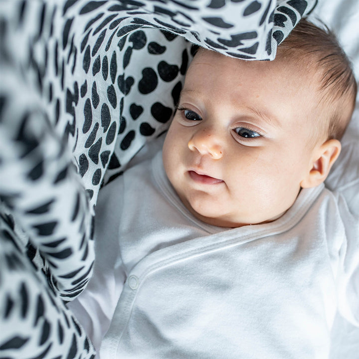 Baby looking at the The Etta Loves Sensory Muslin in -- Color_Animal