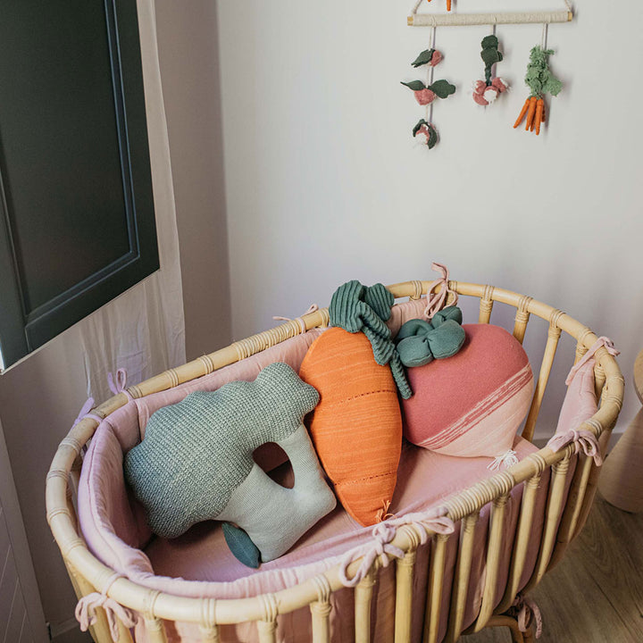 Cathy The Carrot Knitted Cushion