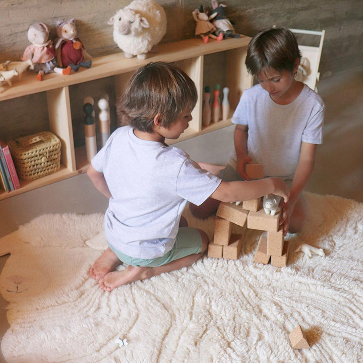 Pink Nose Sheep Woolable Rug